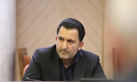هیچ کمبودی در عرضه تخم‌مرغ وجود ندارد