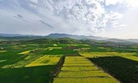 اجرای قانون الزام به ثبت رسمی اموال غیرمنقول کلید خورد
