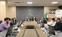 تحول در زنجیره ارزش پروتئین گیاهی/ دانش فنی ارقام جدید «کینوا» به بخش خصوصی واگذار شد