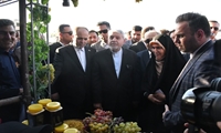 بازدید وزیر جهاد کشاورزی از نمایشگاه محصولات کشاورزی و صنایع دستی ملکان