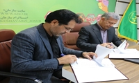 سازمان جهاد کشاورزی جنوب کرمان و کمیته امداد استان کرمان تفاهم نامه همکاری امضا کردند