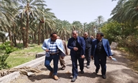 جنوب کرمان قطب کشاورزی کشور با تولید بیش از 5 میلیون تن محصول/ کارگروه مبارزه با آفت خرما هفته آینده برگزار می‌شود