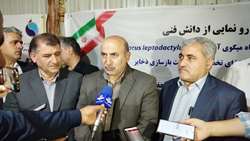 هدفگذاری ایجاد ۵۰۰ هکتار مزرعه پرورشی تولید شاه میگو در آذربایجان غربی