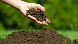 تغییر کاربری اراضی، چالشی برای کیفیت خاک
