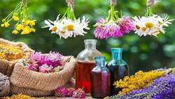 کشت گیاهان دارویی، راهی برای توسعه پایدار در استان چهارمحال وبختیاری
