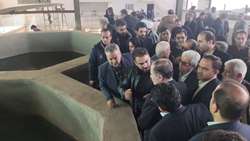 بازدید وزیر جهاد کشاورزی از مجتمع ماهیان خاویاری سبزوار 