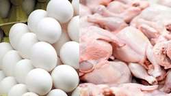 تولیدات پروتئینی کیفی است/ تولید مازاد تخم‌مرغ و گوشت مرغ در کشور