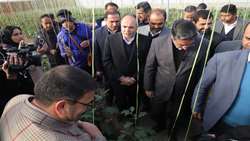 سفر وزیر جهاد کشاورزی به خراسان رضوی شهرستان فیروزه