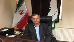 تأمین 6300 لیتر سم مبارزه با بیماری زنگ زرد گندم در استان توسط شرکت خدمات حمایتی 