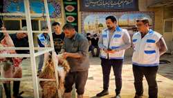 نظارت کارشناسان دامپزشکی خوزستان بر ذبح بیش از یک هزار رأس دام در تاسوعا و عاشورا