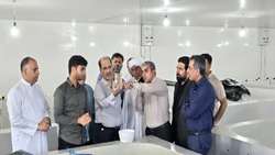 قشم نگینی درخشان از فعالیت های شیلاتی/ سرمایه گذاری های شیلاتی زمینه ساز امنیت شغلی و اجتماعی