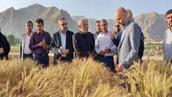 مشارکت و مردمی‌سازی فعالیت‌های تحقیقاتی و ترویجی کشاورزی دانش‌بنیان در لرستان
