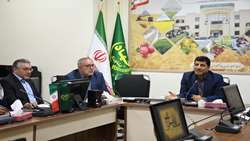 پیش بینی تولید 700 هزار تن گندم در آذربایجان شرقی