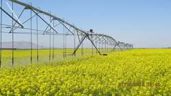 ۷۰ درصد تداخلات اراضی کشاورزی استان مرکزی در دولت سیزدهم رفع شد