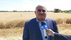 بیش از 34 هزار کشاورز آذربایجان غربی در طرح جهش تولید در دیم زار‌ها مشارکت دارند / افزایش 13 درصدی اجرای این طرح در استان