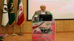 تحقق در آمد ۲۶ میلیون دلاری با فرآوری و اسانس‌گیری گل محمدی