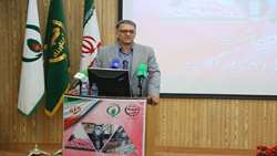 درآمد حاصل از صادرات گیاهان دارویی می‌تواند جایگزین درآمدهای نفتی شود