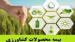 بیمه کشاورزی تولیدکنندگان را در برابر خسارات تغییرات اقلیمی محافظت می‌کند
