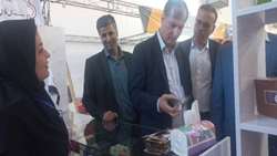 کسب رتبه نخست در صادرات خرما