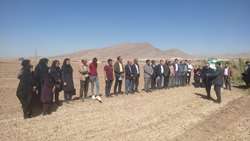برگزاری هفتمین کاروان ترویج بهره وری کشت پاییزه در مرند