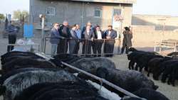 به مناسبت هفته روستا و عشایر - وزیر جهاد کشاورزی به نمایندگی از رییس جمهور به روستای قلعه محمد علی خان رفت