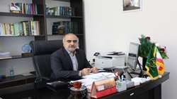  لزوم توجه به مصرف تخم مرغ در سبد غذایی خانوار 