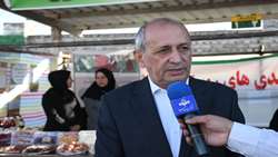توسعه کشت سماق در هوراند با حمایت سازمان جهاد کشاورزی استان