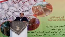 افزایش بهره‌وری در بخش کشاورزی با تقویت تشکل‌ها/ کشاورزان در حفاظت از خاک مشارکت کنند
