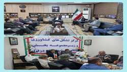 پیگیری برای رفع موانع صادراتی و تعادل قیمت ذرت علوفه ای در دزفول