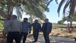 برگزاری نخستین تور رسانه ای مدیریت امور اراضی خوزستان 