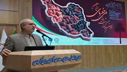 با همکاری اتاق بازرگانی کرمان،روز ملی خرما  در کرمان برگزار شد