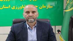 افزایش ۶۵ هزار هکتار درطرح جهش تولید در دیمزارهای لرستان نسبت به سال گذشته