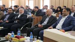 ضرورت ترویج مصرف نان کامل و کاهش ضایعات گندم