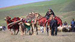 کوچ عشایر ایران در مسیر ثبت جهانی است