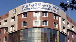 دولت در عرضه زعفران در بورس کالا فقط تسهیل‌گر بوده است/ جای خالی محصولات کشاورزی در بورس