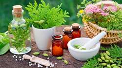 بیش از 28 هزار هکتار سطح زیرکشت گیاهان دارویی در خراسان رضوی 