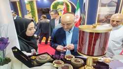  حضور فعال صنایع تبدیلی و غذایی استان لرستان در نمایشگاه توانمندی های صادراتی ایران اکسپو ۲۰۲۵ 