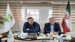 تأکید رئیس سازمان منابع طبیعی بر جذب نظرات کارشناسی و حفظ اتحاد داخلی