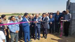 افتتاح مرغداری گوشتی با ظرفیت تولید ۲۰۰ تن گوشت در قروه