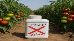 سازمان حفظ نباتات
