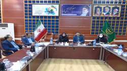آغاز اجرای طرح هویت‌دار کردن محصولات کشاورزی در کشور