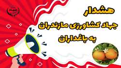 لزوم اجرای مبارزه پاییزه برای کنترل آفات و بیماری‌های باغات