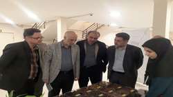 تأکید بر ضرورت پیوند نزدیک‌تر بین بخش‌های تحقیقاتی و مراکز فنی و اجرایی