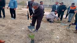چرام میزبان پویش جهادی درختکاری