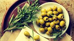 روزهای پایانی برداشت زیتون در گرمسار؛ 1550 هکتار از اراضی گرمسار زیر کشت زیتون است