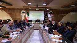 صیانت از مزیت انحصاری زرشک خراسان جنوبی در دستور کار مسئولان استان
