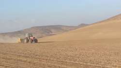 کشت گندم دیم در ارتفاعات گرمه توسعه می‌یابد