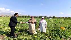 تقدیر از بانوی کارآفرین و زنان فعال در عرصه کشاورزی شهرستان رودان به مناسبت بزرگداشت هفته زن