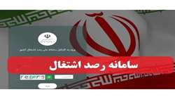 ثبت 71 مورد اشتغال در سامانه رصد نکا؛ گامی مؤثر در تقویت اشتغال‌زایی کشاورزی