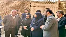 سازمان حفظ نباتات